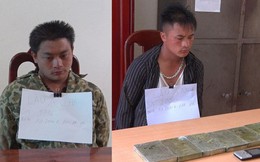 Mua 6 bánh heroin từ Lào về , rủ anh trai đi bán kiếm lời