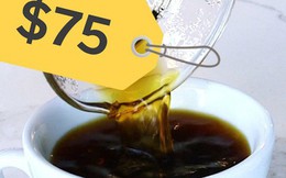 Đằng sau cái giá 41 triệu đồng/kg của "vàng đen" Elida Geisha: Loại cafe cực khó chăm, chỉ ngon nếu trồng ở một loại đất đặc biệt