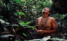 Cháy rừng hoành hành, Brazil lo bộ lạc khu vực Amazon bị xóa sổ
