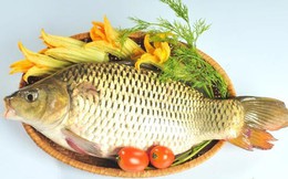 Món ăn thuốc trị chứng ù tai