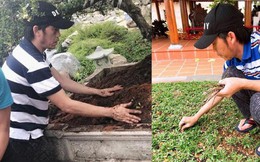 Hoài Linh tự tay bắt sâu, dọn dẹp nhà thờ chuẩn bị cho ngày giỗ Tổ nghề sân khấu