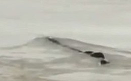 Cảnh sát phơi bày sự thật về "quái vật hồ Loch Ness" phiên bản Trung Quốc từng khiến bao người khiếp sợ