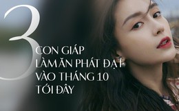 Tháng 10 phú quý phát đạt, 3 con giáp này sẽ gặp được cơ hội làm giàu hiếm có khó tìm, một lần nắm bắt cả đời lên hương