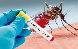 Những biến chứng nguy hiểm của sốt xuất huyết