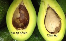 5 mẹo nhỏ giúp bạn phân biệt cực chuẩn bơ sạch và bơ ngâm tẩm hóa chất