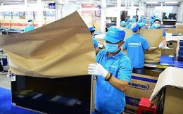 Asanzo trốn thuế hơn 40 tỷ đồng, chuyển điều tra xử lý hình sự