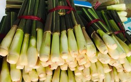 Bất ngờ với củ niễng Nam Định vừa ngon còn tác dụng chữa bệnh