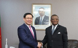Phó Thủ tướng Vương Đình Huệ hội đàm với Thủ tướng Cameroon Joseph Dion Ngute