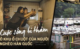 Trái ngược với khu Gangnam xa hoa là những "ngôi nhà bán ngầm" trong Ký sinh trùng đến cuộc sống bi thảm ở khu ổ chuột của người nghèo ở Hàn Quốc