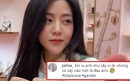 Miệt mài rắc thính thế này mà em gái Ông Cao Thắng vẫn giữ chức hội trưởng hội FA: Thiệt khó tin quá đi!