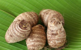 Khoai sọ cũng là vị thuốc