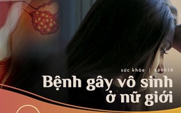 5 căn bệnh ở buồng trứng dễ gây vô sinh mà phái nữ không nên chủ quan bỏ qua