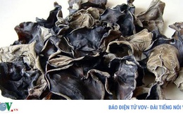 7 tác dụng bất ngờ của mộc nhĩ đối với sức khỏe