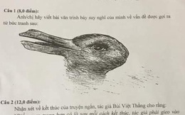Đề thi học sinh giỏi Văn chỉ có hình nửa thỏ nửa vịt yêu cầu học sinh phân tích, trình bày suy nghĩ