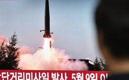 Ẩn tình của một gián điệp Triều Tiên tại Australia: từ 'cây thông nhỏ' biến thành tên lửa