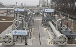 Nga quyết tâm hoàn tất dự án đường ống dẫn khí đốt tới châu Âu