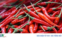Các công dụng của ớt và lưu ý khi dùng