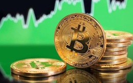 Bitcoin trì trệ, thị trường ‘rực đỏ’