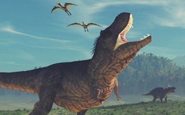 Trước cả khi viên thiên thạch định mệnh đâm xuống Trái Đất, khủng long đã nhiễm độc thủy ngân nặng