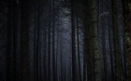 Thuyết 'Khu rừng đen tối' và tại sao chúng ta vẫn chưa tìm thấy người ngoài hành tinh