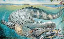 Chân dung loài cá sấu khổng lồ dài 8m, nặng như voi