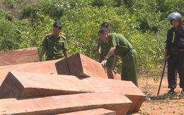 4 cán bộ phân trường bị tạm giam vì để lâm tặc vào rừng khai thác gỗ trái phép