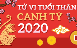 Tử vi tuổi Thân năm Canh Tý 2020: Có 4 tháng hanh thông, tài lộc rủng rỉnh, tiền bạc xông xênh