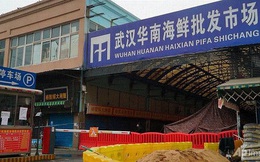 Chuyên gia: Không có mối liên hệ giữa ca phát hiện virus corona đầu tiên với chợ hải sản Vũ Hán