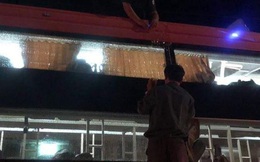 Hàng loạt xe khách Phương Trang, Phước Thiện, Cúc Tùng... bị người lạ ném đá vỡ kính trong đêm ở Đồng Nai