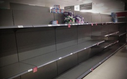 Covid-19: Bị cướp giấy vệ sinh ở Anh, khóc ròng vì ôm 17.700 chai thuốc khử trùng ở Mỹ