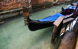 7 ngày qua ảnh: Dòng kênh ở Venice sạch chưa từng thấy nhờ Covid-19