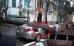 Chiếc xe ô tô bị cây đổ đè bẹp, biến dạng trong cơn mưa lớn ở Hà Nội