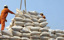 Cần cấm xuất khẩu đối với doanh nghiệp "xù" hợp đồng cấp gạo dự trữ quốc gia