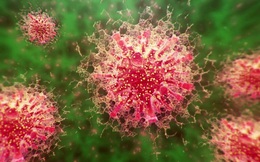 Đột biến kỳ lạ ở virus corona: Phát hiện biến thể có khả năng sinh sản gấp 270 lần chủng khác