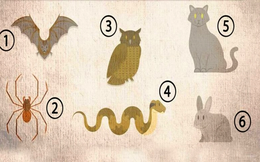 Bạn hãy chọn con vật tượng trưng cho tâm tính mình: Nếu chọn số 3, bạn rất khôn ngoan!