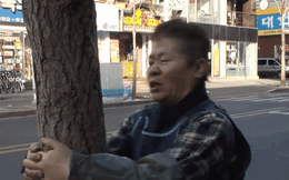 Người đàn ông suốt 5 năm trời đập đầu vào thân cây mỗi ngày như chim gõ kiến và lý do thực sự khiến nhiều người bất ngờ