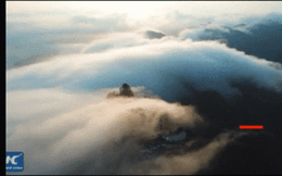 Video: Biển mây huyền ảo như bộ phim Avatar ngoài đời thực