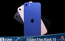 Vừa về Việt Nam, iPhone SE 2020 đã xuống giá dưới 11 triệu đồng