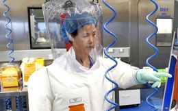 Báo Nhật: "Nữ người dơi" tại Viện Virus học Vũ Hán từng cảnh báo về Covid-19 từ 2015