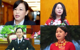 Chân dung 8 nữ Bí thư Tỉnh ủy đương nhiệm