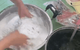 Đi đường ở Nhật tiện tay hái nắm lá, cô gái chế ngay được món bánh nức tiếng quê nhà khiến mọi người tới tấp hỏi công thức