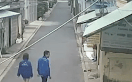 Đang nắm tay bạn gái đi dạo, thanh niên bỗng nổi hứng "chôm chỉa" nhưng thứ anh ta lấy đi mới thực sự gây khó hiểu