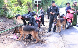 Truy bắt phạm nhân Triệu Quân Sự: Chó nghiệp vụ rút lui, mở rộng phạm vi tìm kiếm