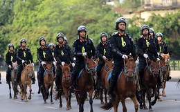 Đại tướng Tô Lâm: Cảnh sát cơ động kỵ binh có thể sử dụng trong lễ tân Nhà nước