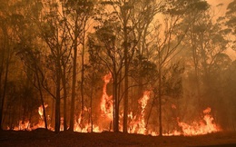 Cháy rừng quay trở lại không kiểm soát, người dân Australia chỉ có 5 phút dọn đồ sơ tán