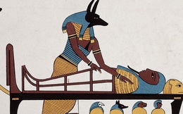 Anubis - Vị thần chết Ai Cập được tôn vinh bởi 8 triệu con chó ướp xác