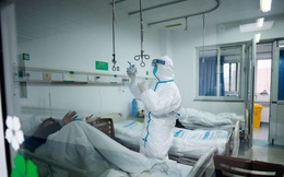 Cơn ác mộng virus Vũ Hán kéo dài đến mùa hè?