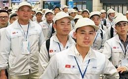 Lao động bất hợp pháp có cơ hội trở lại làm việc tại Hàn Quốc