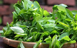 Ăn gì để không thiếu vitamin A?
