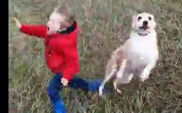 Video: Cún cưng “đùa quá” xô cậu chủ nhỏ ngã sóng soài